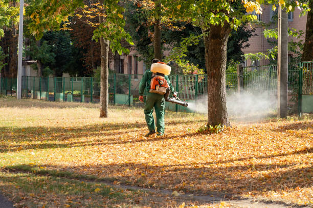 Best Pest Control Near Me  in Warren, MI