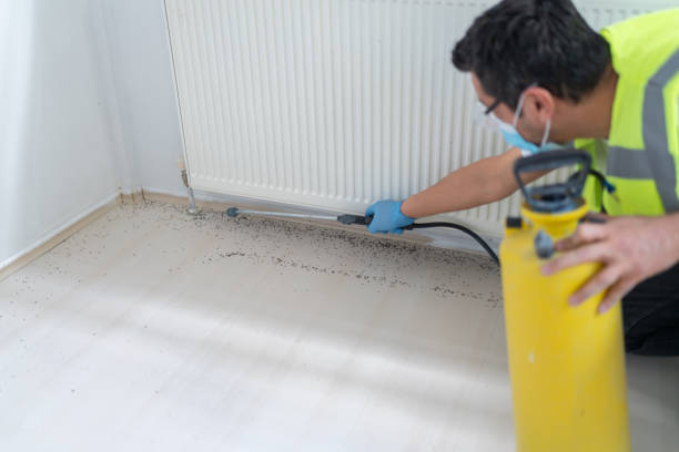 Best Ant Control Services  in Warren, MI