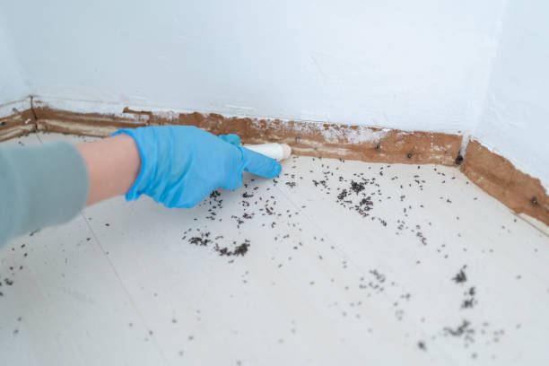 Best Best Pest Control Companies  in Warren, MI