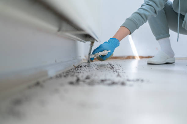 Best Emergency Pest Control  in Warren, MI