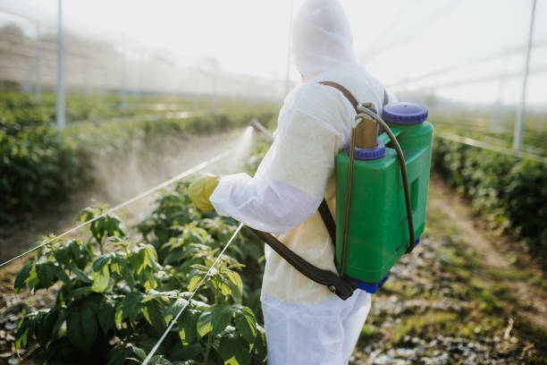 Best Pest Inspection Near Me  in Warren, MI